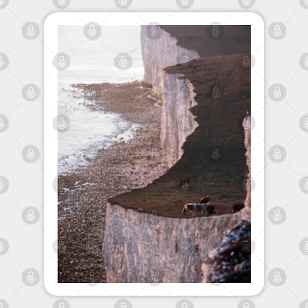 The Seven Sisters cliffs, East Sussex (cows) Sticker by Avalinart